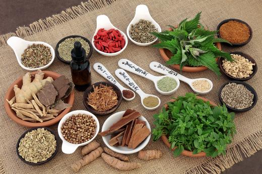 5 Little Known Healing Herbs on the Planet