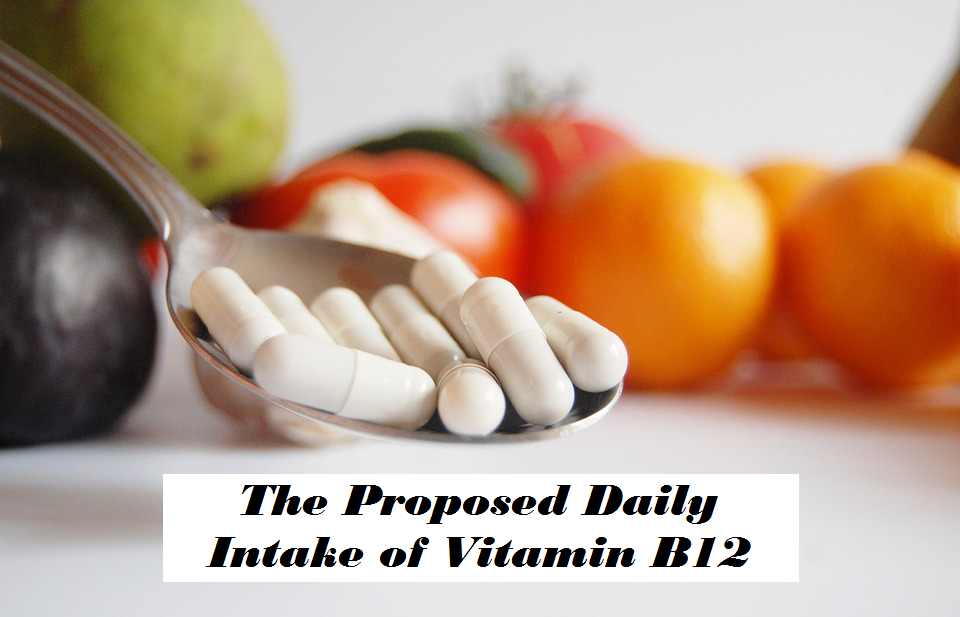 The Proposed Daily Intake of Vitamin B12