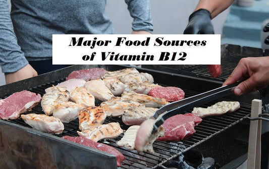 Food Sources of Vitamin B12