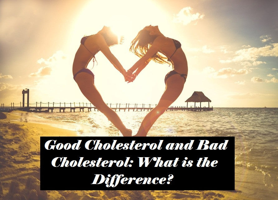 Good Cholesterol vs. Bad Cholesterol