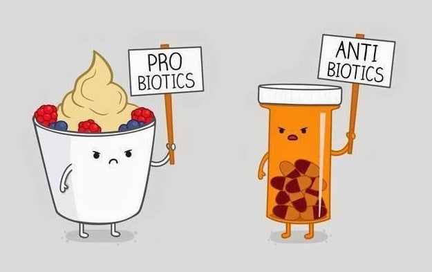 Probiotics or Antibiotics: Which is good for the body?